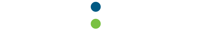 Carlink White Logo